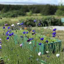 Charger l'image dans la galerie, Savon de Fantaisie - Fleurs des Îles