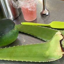 Charger l'image dans la galerie, Savon de Fantaisie - Aloès & Melon d'Eau