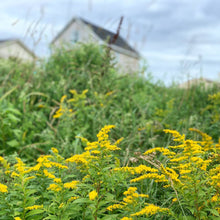 Charger l'image dans la galerie, Savon à l'ancienne - Verge d'Or & Miel d'Automne